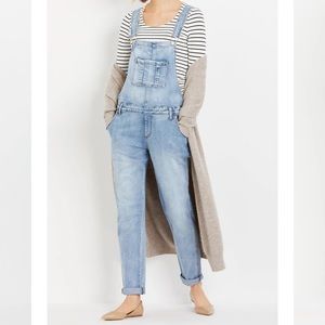 A Pea in the Pod Maternity Overalls